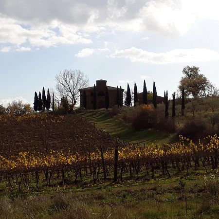 Podere Pievina Delle Corti - Dimora Di Campagna Sinalunga Εξωτερικό φωτογραφία
