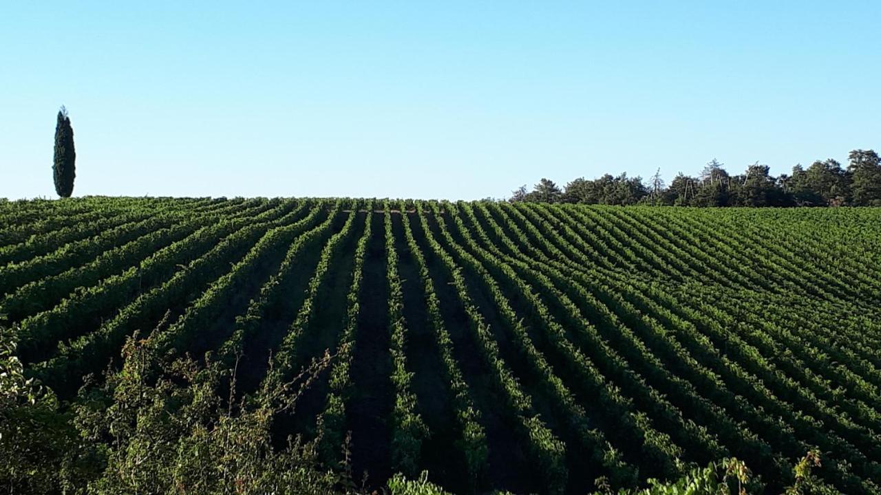 Podere Pievina Delle Corti - Dimora Di Campagna Sinalunga Εξωτερικό φωτογραφία