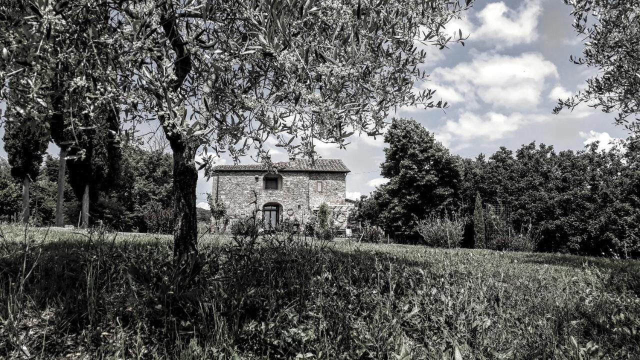 Podere Pievina Delle Corti - Dimora Di Campagna Sinalunga Εξωτερικό φωτογραφία