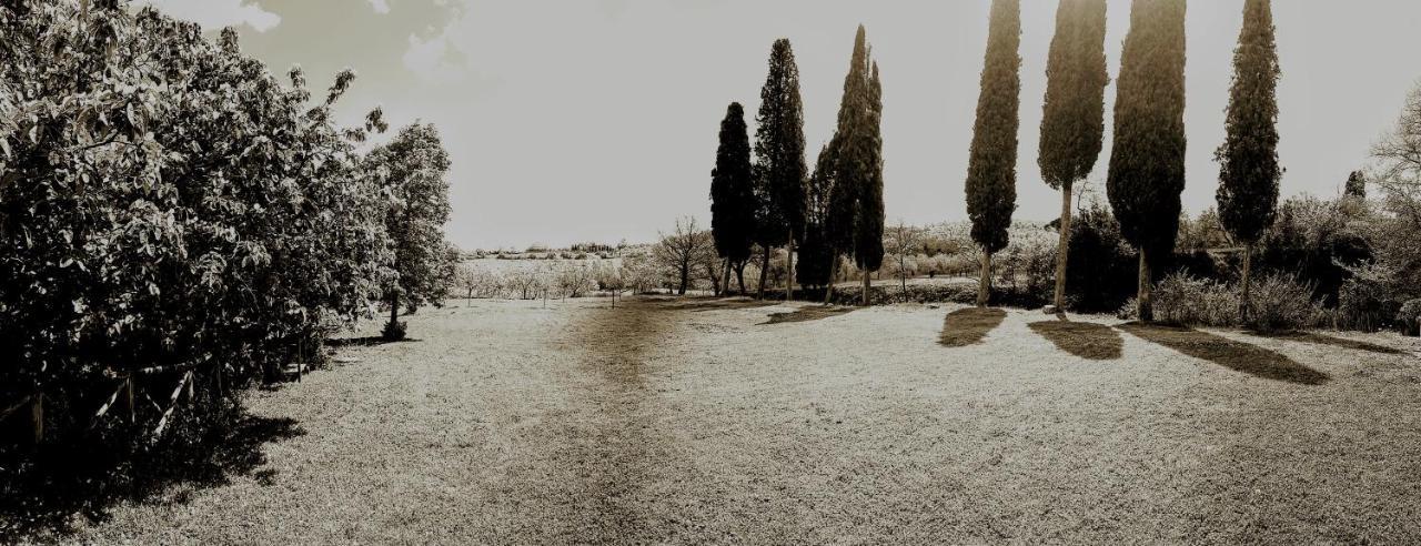 Podere Pievina Delle Corti - Dimora Di Campagna Sinalunga Εξωτερικό φωτογραφία