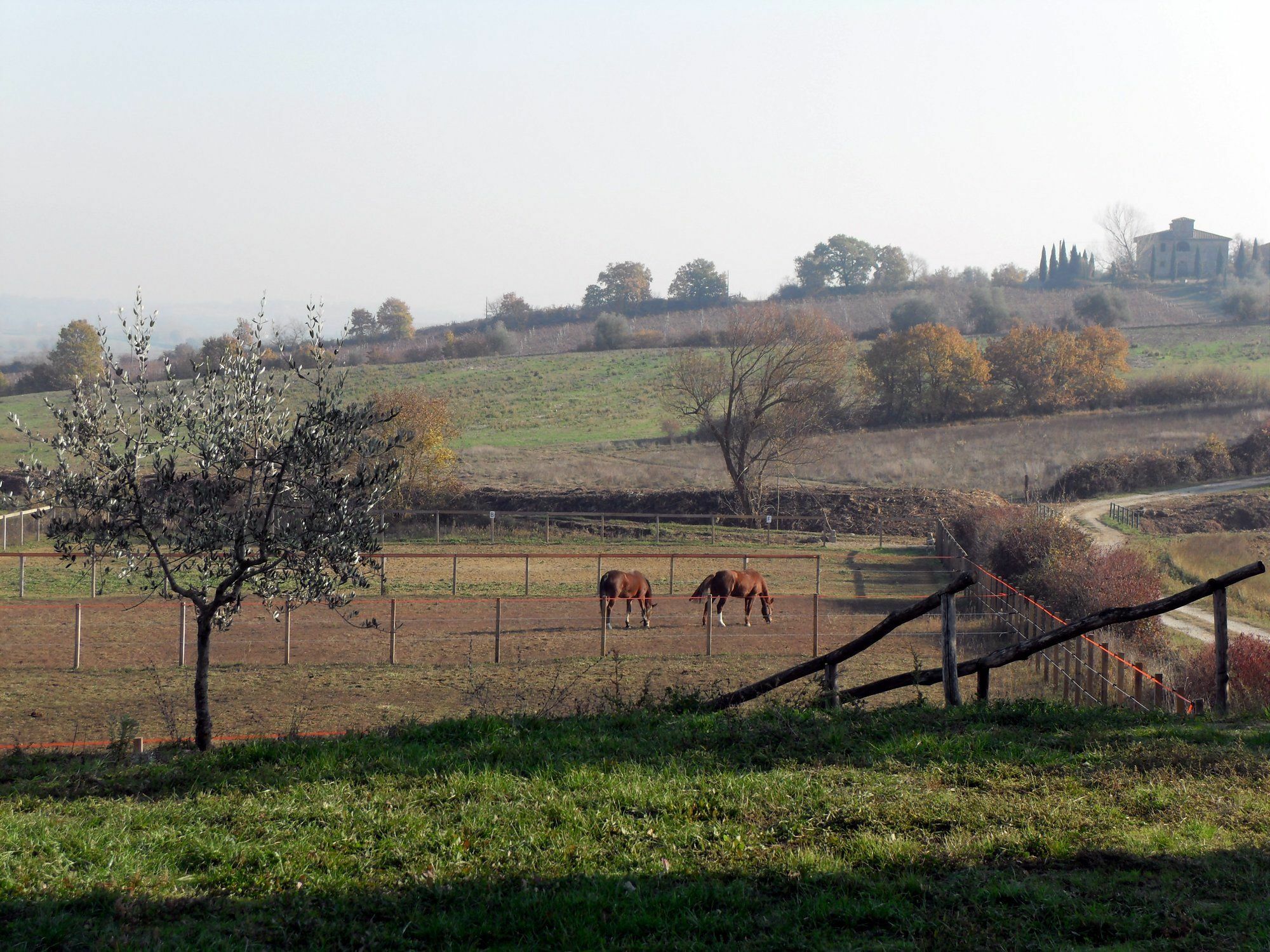 Podere Pievina Delle Corti - Dimora Di Campagna Sinalunga Εξωτερικό φωτογραφία