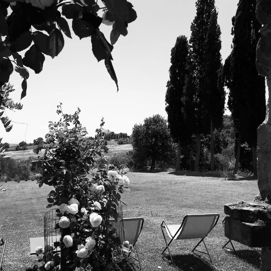Podere Pievina Delle Corti - Dimora Di Campagna Sinalunga Εξωτερικό φωτογραφία