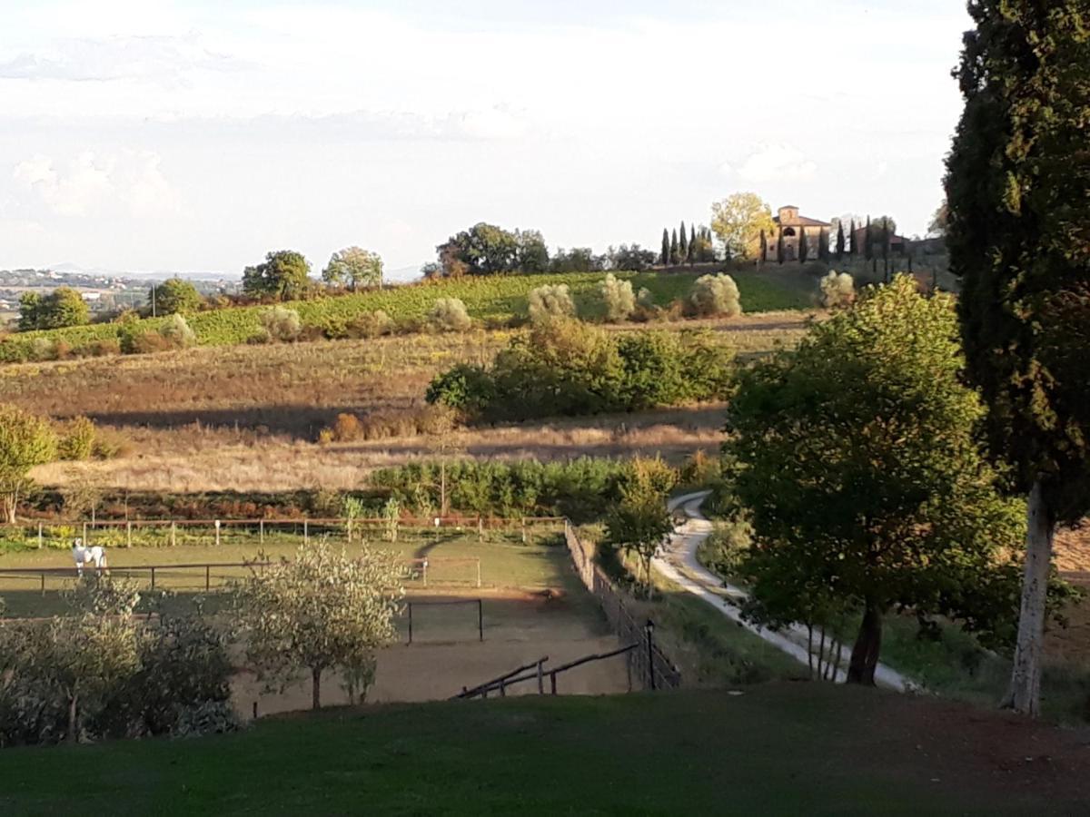 Podere Pievina Delle Corti - Dimora Di Campagna Sinalunga Εξωτερικό φωτογραφία
